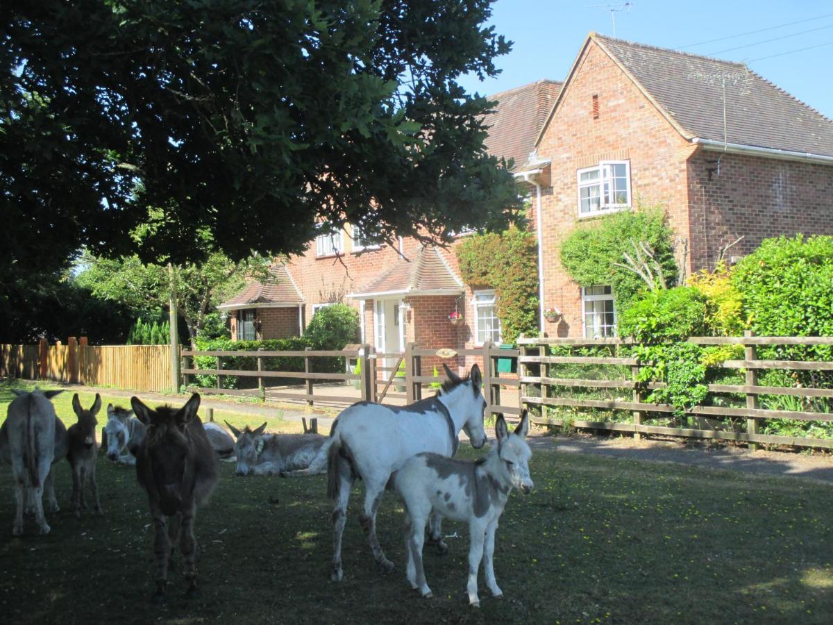 Hops Main House, Brockenhurst, New Forest Villa Luaran gambar