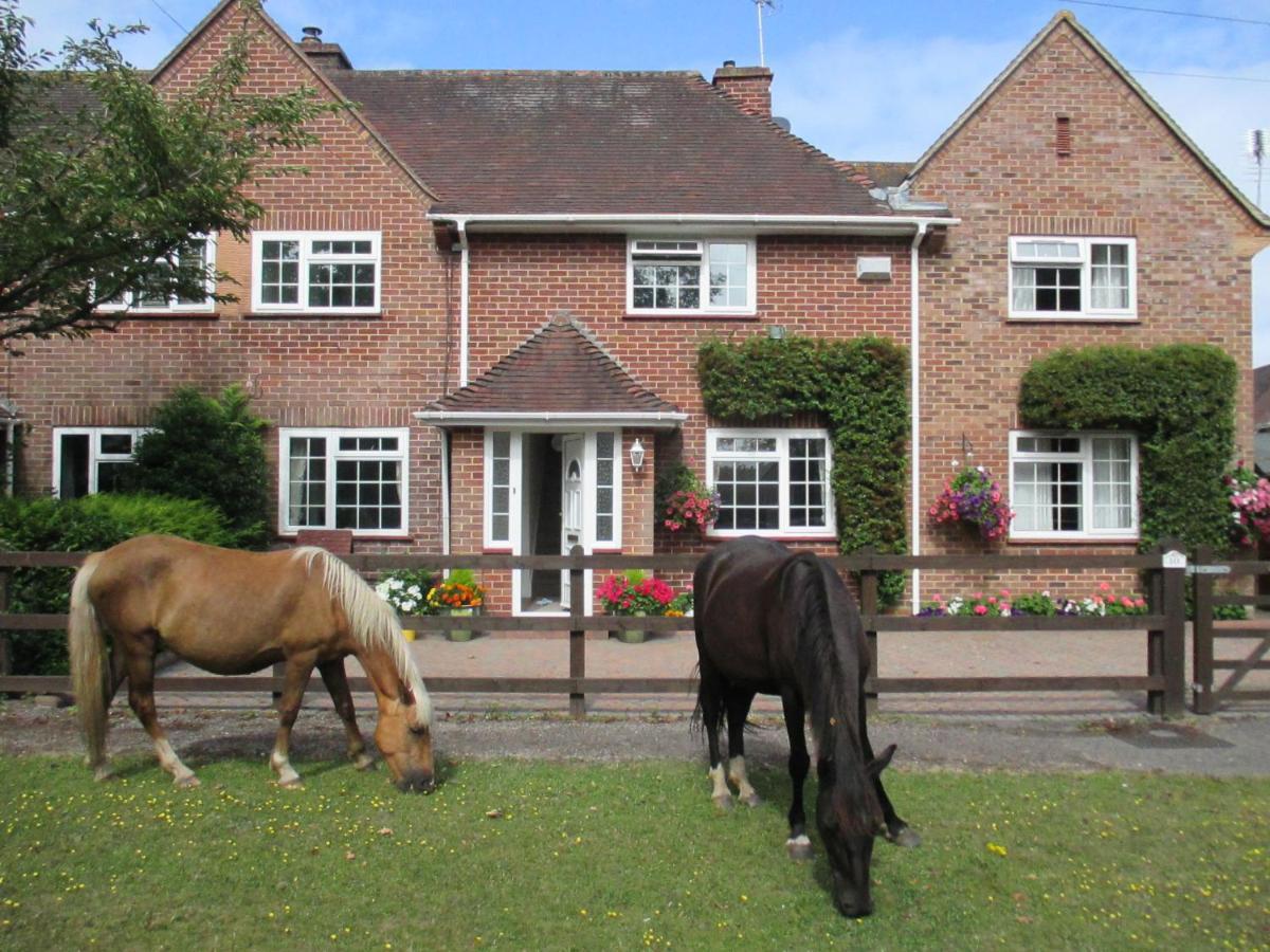 Hops Main House, Brockenhurst, New Forest Villa Luaran gambar